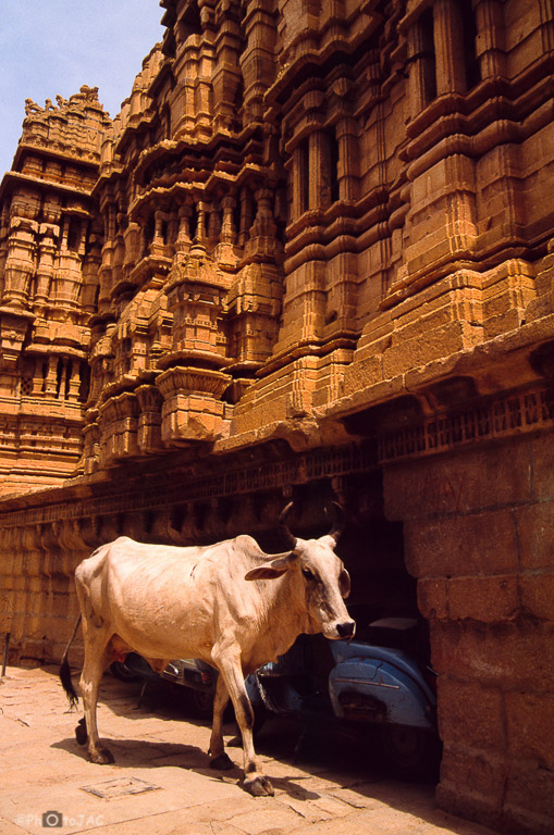 Jaisalmer (estado de Rajasthan). Conocida como "La Ciudad Dorada".