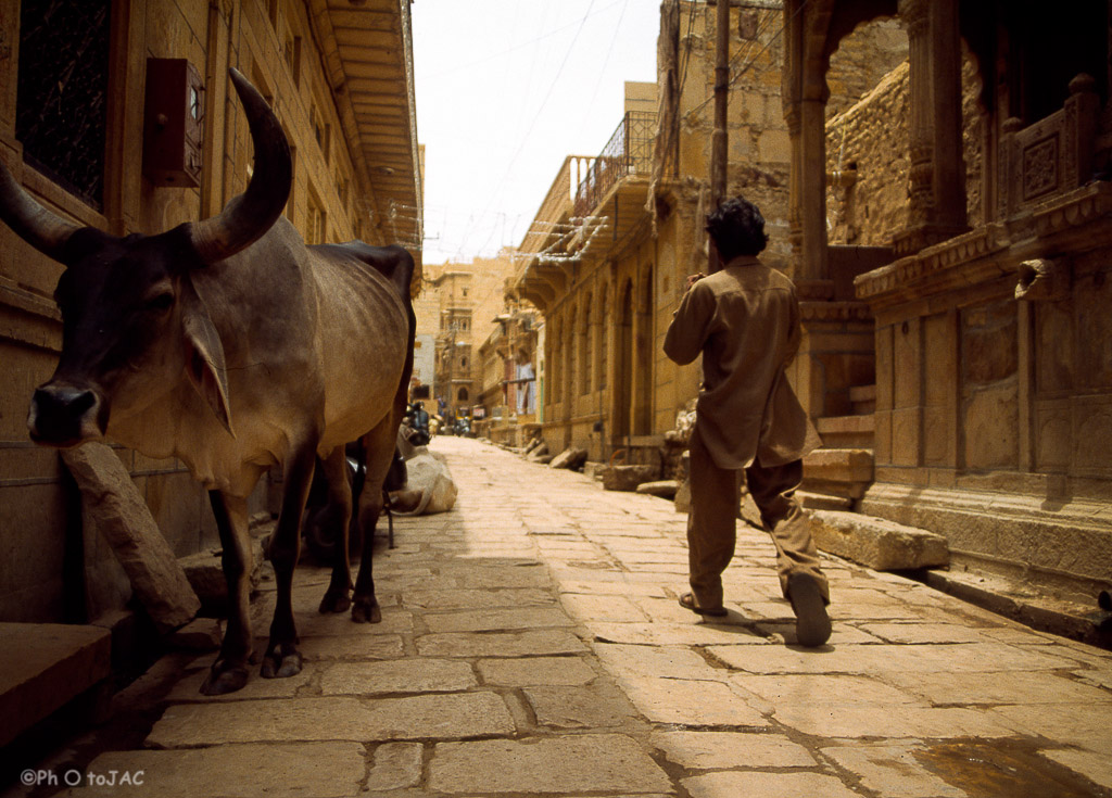 Jaisalmer (estado de Rajasthan). Conocida como "La Ciudad Dorada".