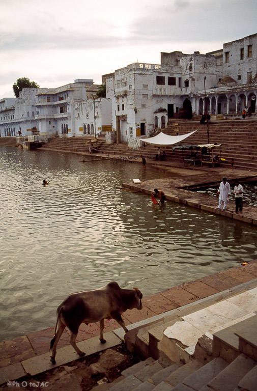 Púshkar (estado de Rajasthan). Ghats en el Lago de Pushkar.