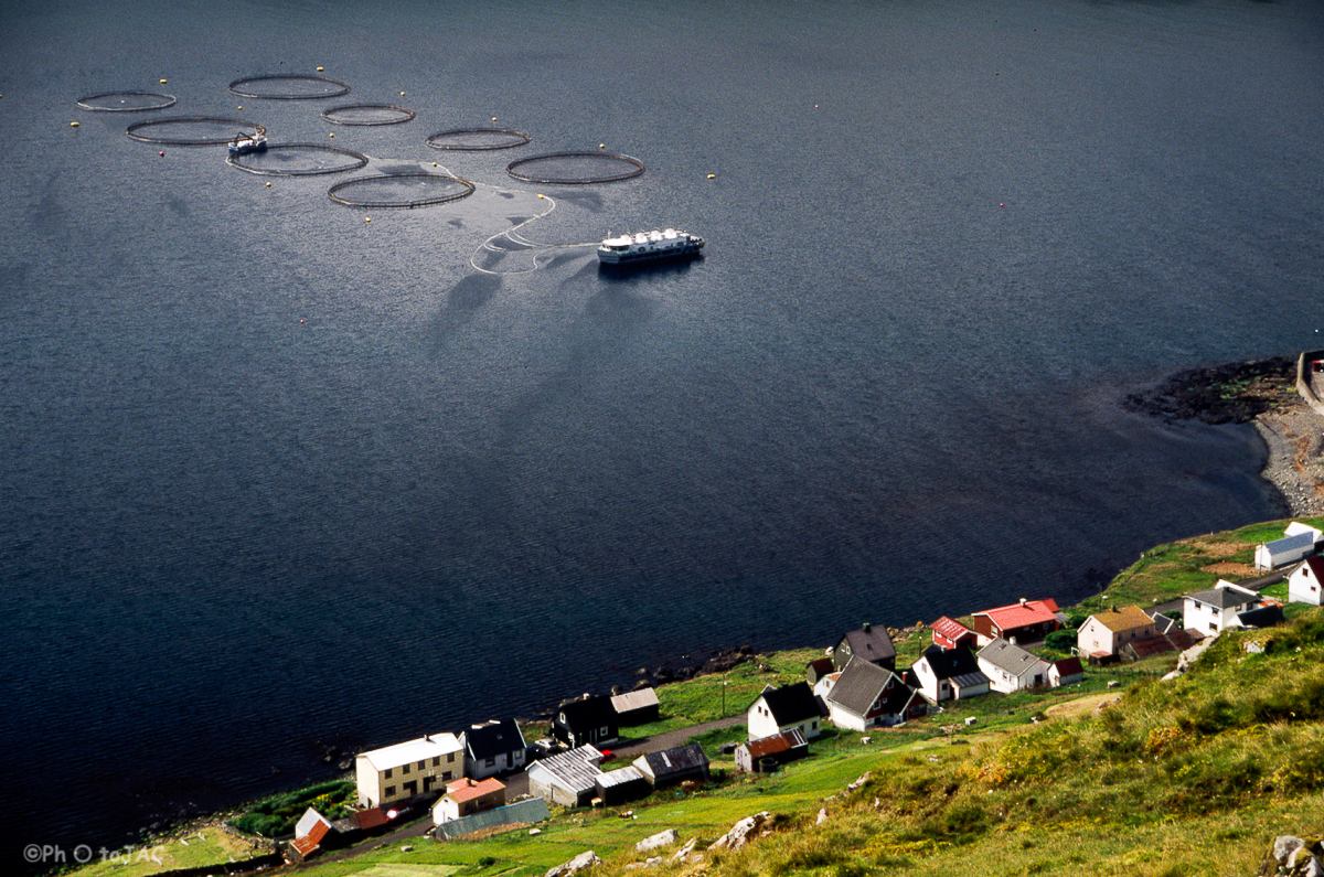 Isla de Suduroy. Criaderos de salmón próximos a la localidad de Hov.