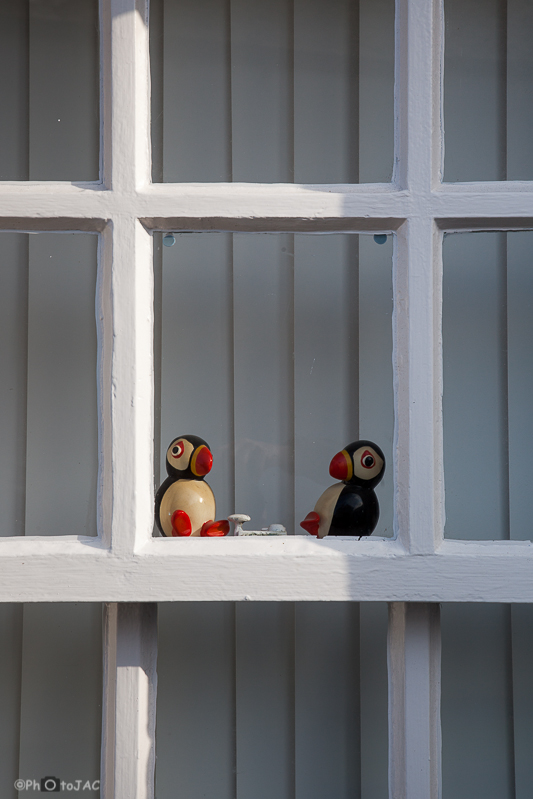 Escocia. Islas Shetland. Lerwick. Curiosas figuras de frailecillos adornando una ventana.