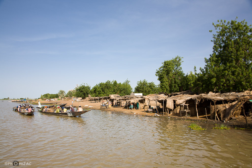 Pinazas (embarcaciones de madera) a punto de partir desde una pequeña aldea, de etnia "bozo" (mayormente pescadores), hacia la ciudad de Segou, en la otra orilla del Niger. Mali.