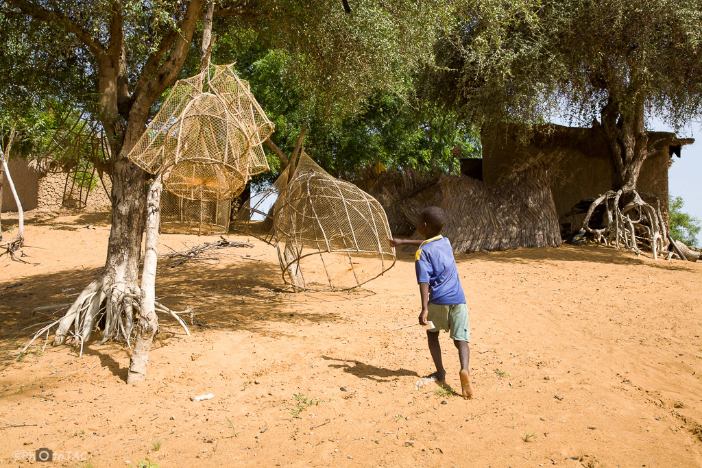 Niño en una pequeña aldea, de etnia "bozo" (mayormente pescadores), enfrente de la ciudad de Segou, en la otra orilla del Niger. Se dispone a coger una especie de nasa para la pesca. Mali.