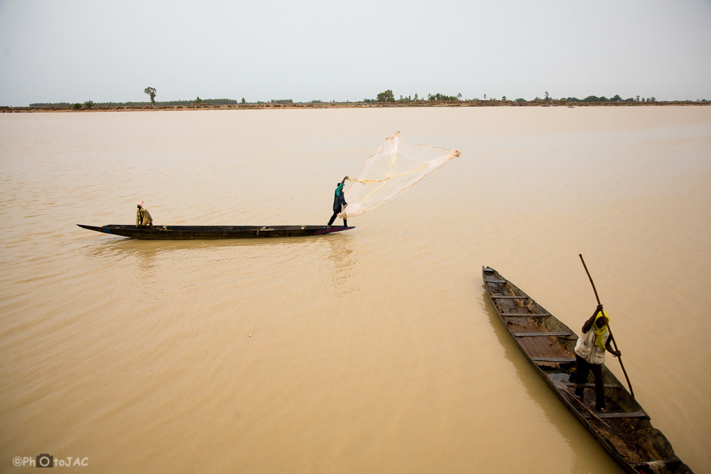 Mali: Puerto de Mopti. Embarcaciones locales hechas de madera llamadas "pinazas". Un pescador, de etnia bozo, lanza su red al río Niger.