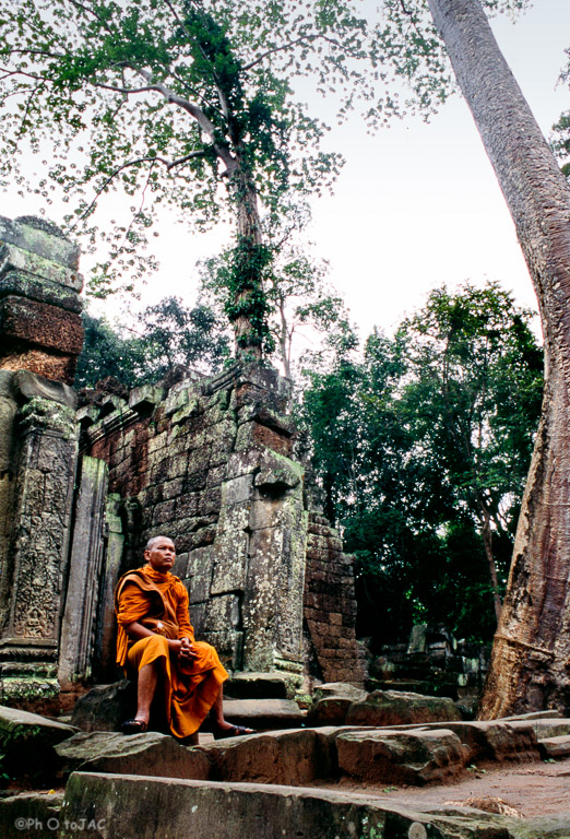 Camboya. Templos de Angkor (provincia de Siem Reap). Monje budista.