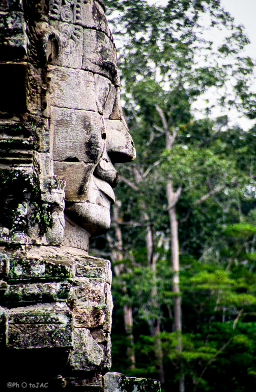 Camboya. Templos de Angkor (provincia de Siem Reap). Cabeza de Buda en el templo de Bayon.