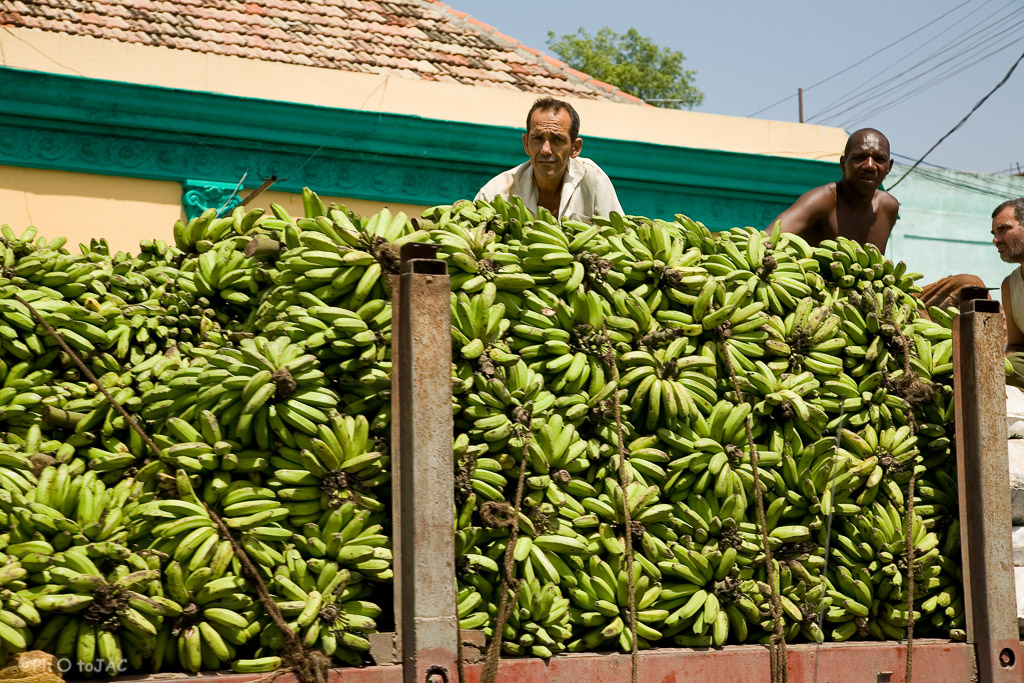 Santiago de Cuba. Camión cargado de plátanos.