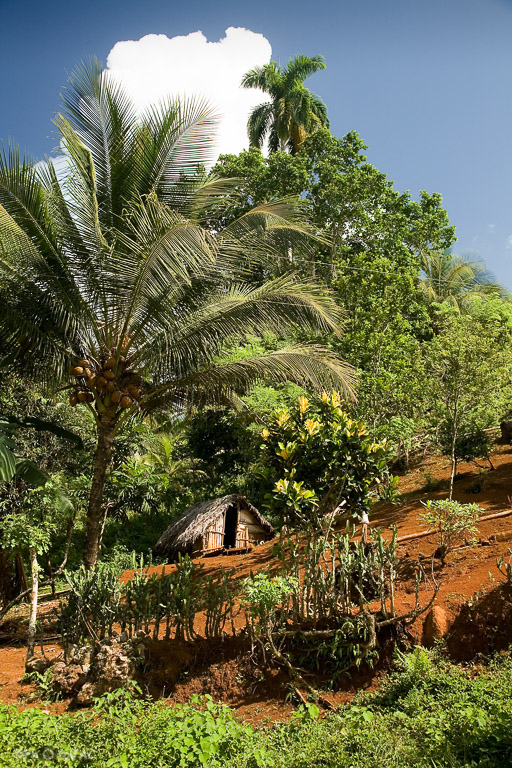 Baracoa (provincia de Guantánamo). Casa de campesinos en las faldas del pico "El Yunque".  (569 m.)