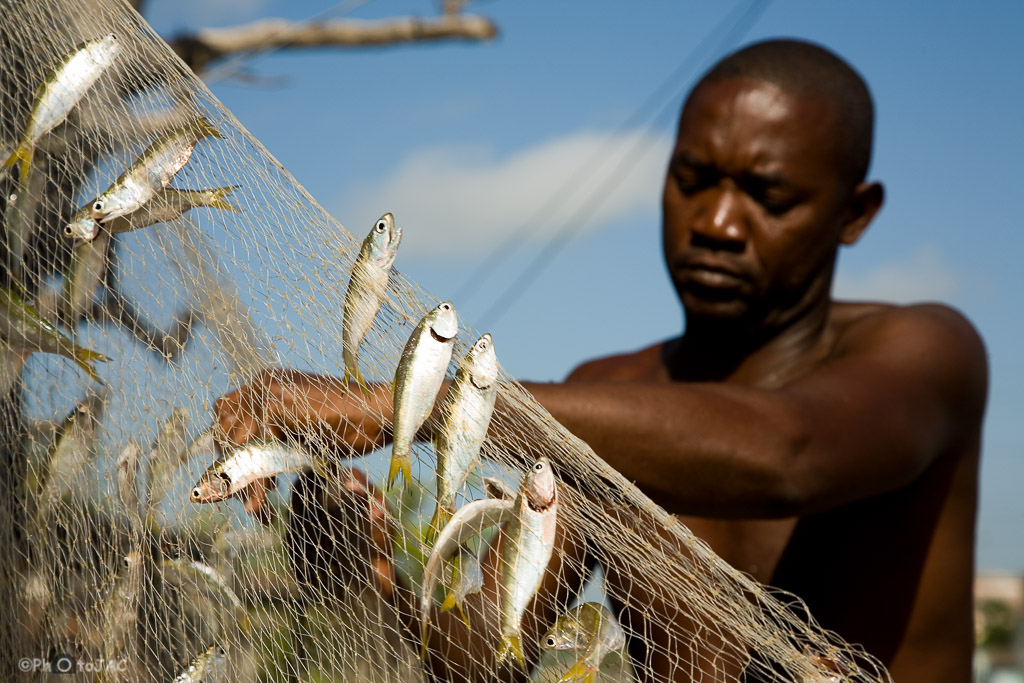 Matanzas. Un pescador recoge los peces capturados en la red que acaba de sacar de las aguas del río San Juan, que pasa por el centro de la ciudad.