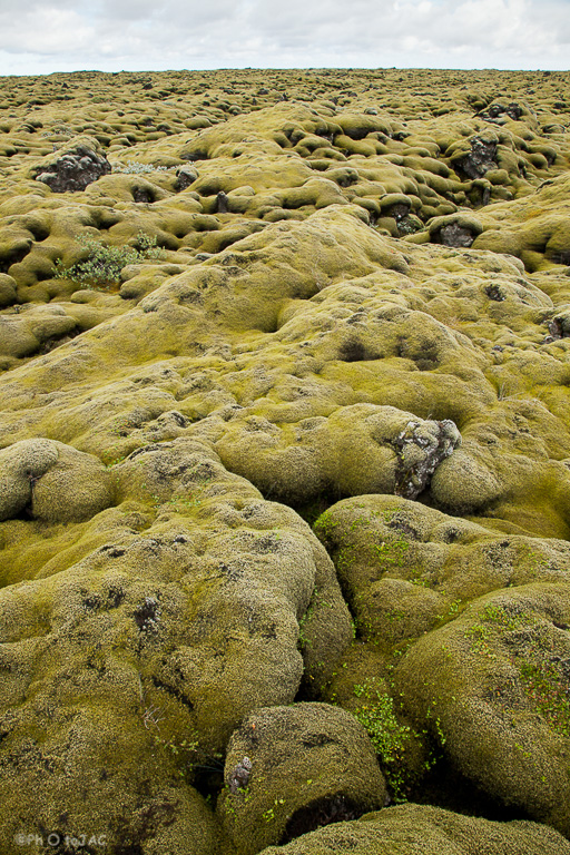 Terreno volcánico cubierto de musgo.