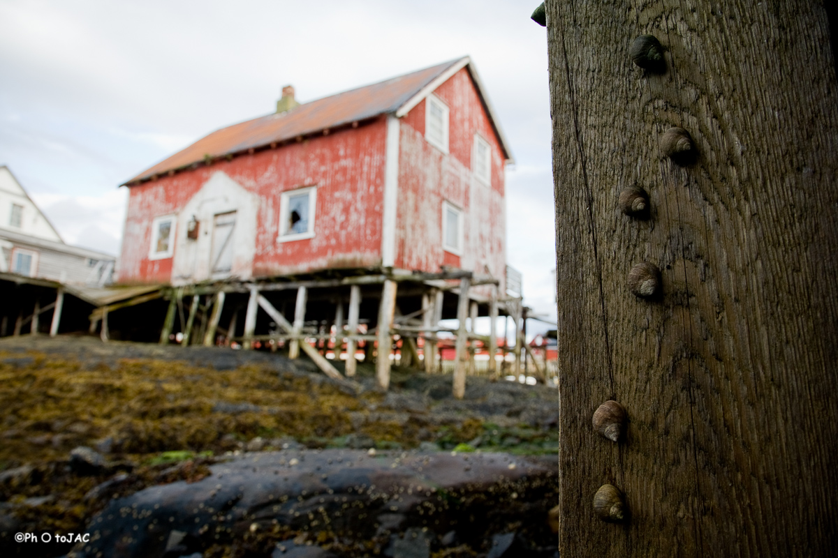 "Rorbu": cabaña de pescadores sobre pilotes en Henningsvaer, localidad situada en dos islotes conectados por una carretera sobre el mar con el resto de las Lofoten.