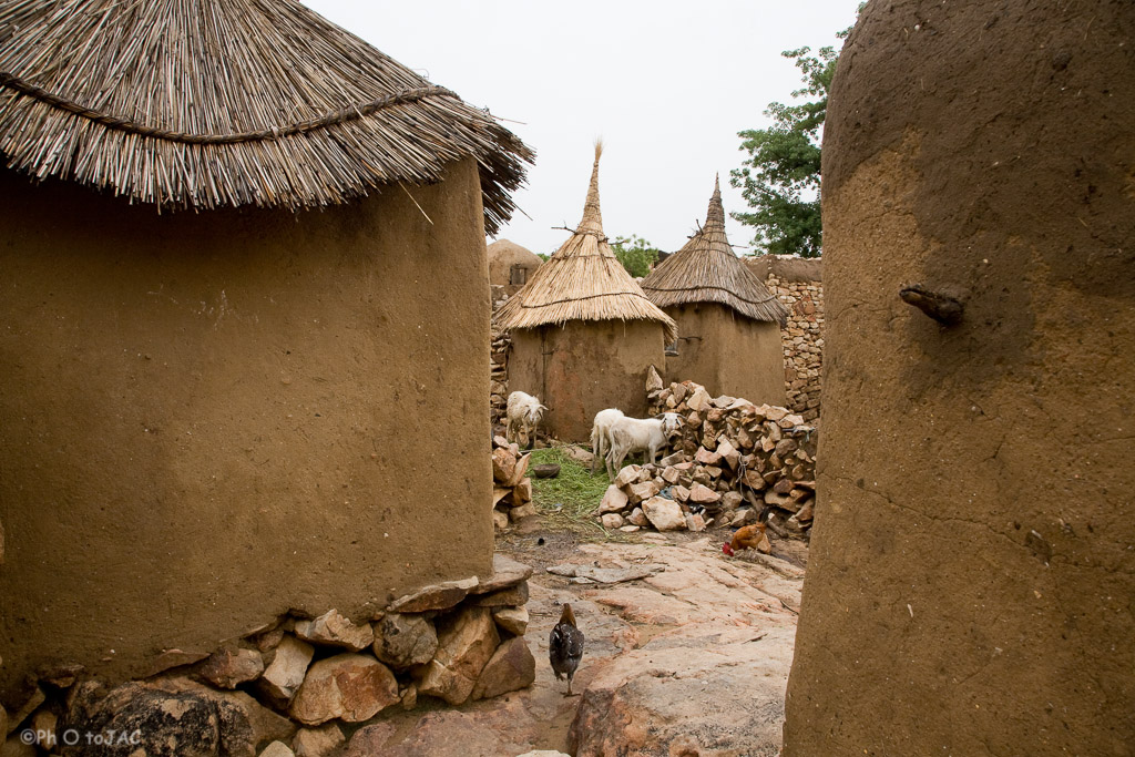 País Dogón. Mali. Graneros erigidos con adobe en la aldea de Daga. Gallinas y cabras buscan alimento por sus calles.
