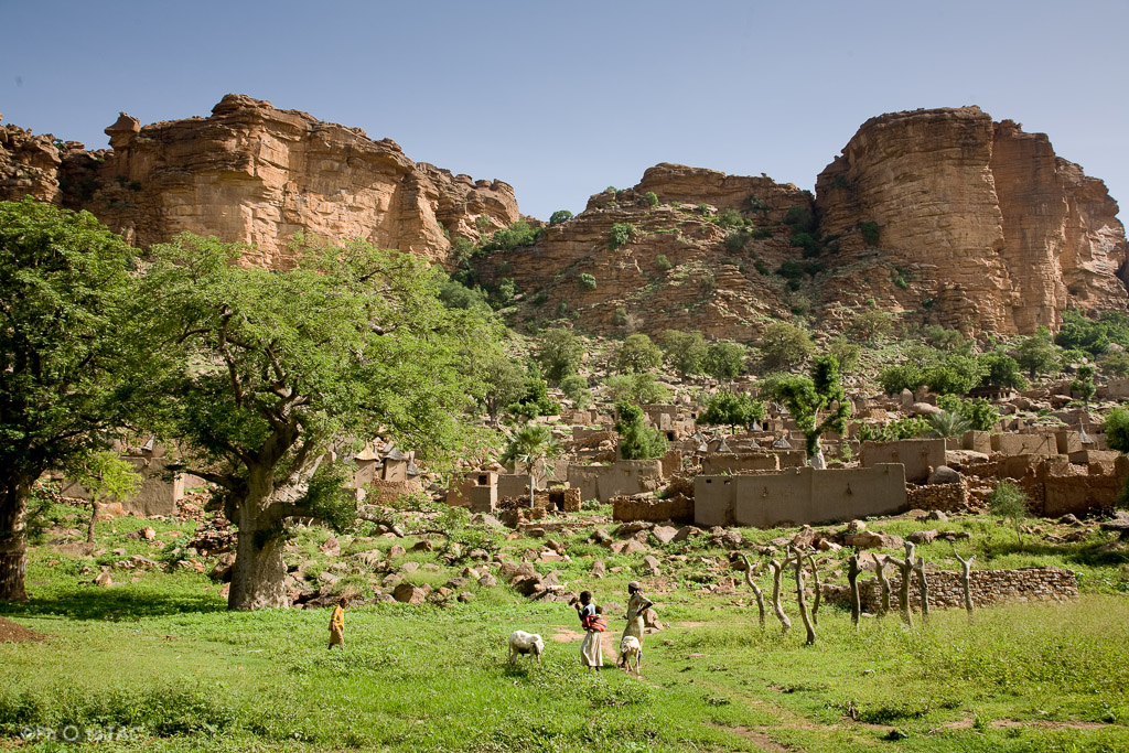 País Dogón. Mali. Viviendas y graneros erigidos con madera, adobe y piedra en la aldea de Tireli, en la parte inferior de la falla de Bandiagara.