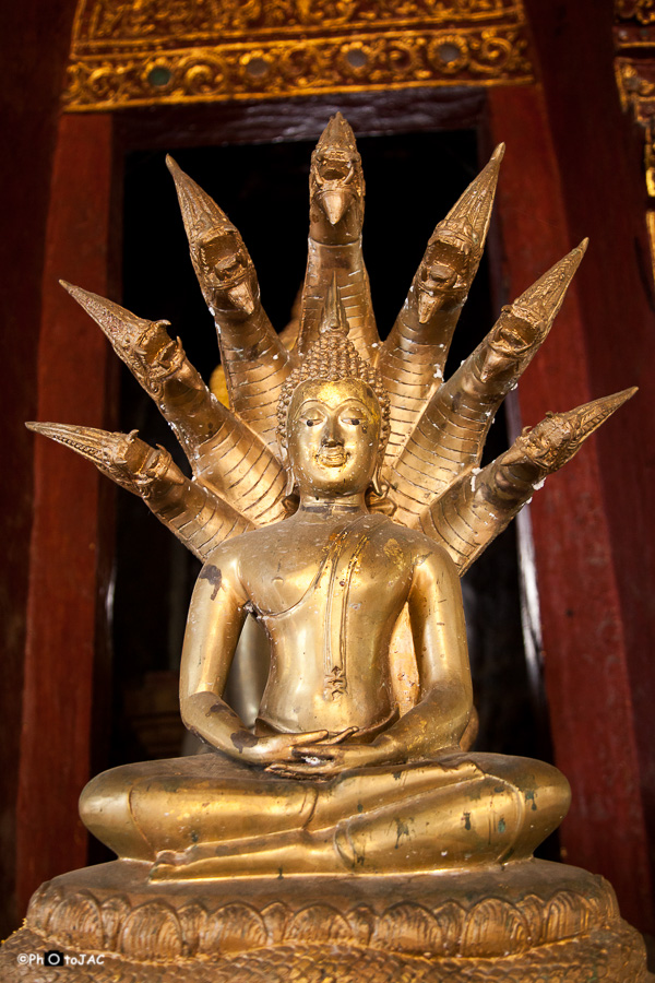 Chiang Mai. Figura de un Buda, con siete cabezas de serpiente, en un templo del complejo "Wat Phra Singh".