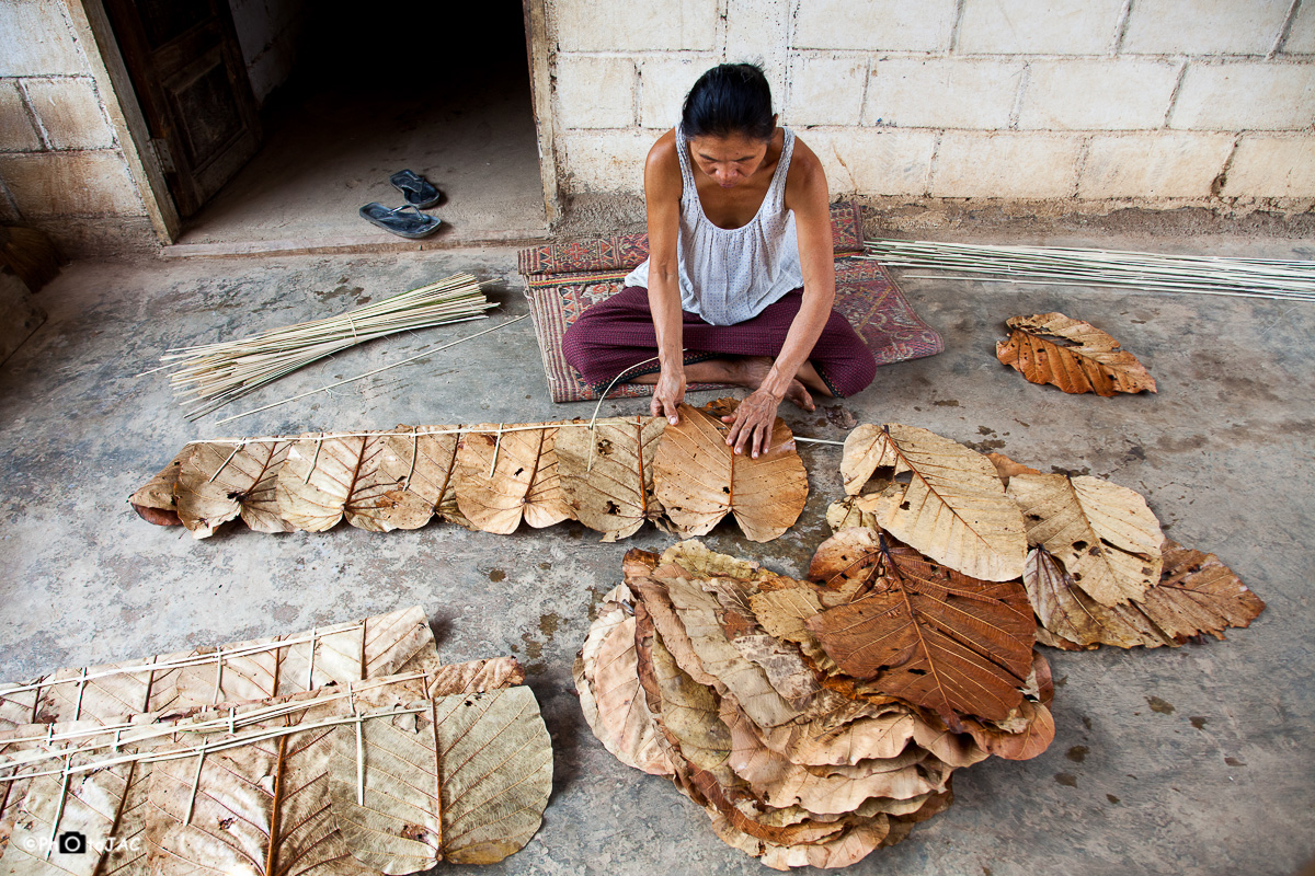 Preparando hojas secas para las paredes y los tejados de las casas de la aldea.