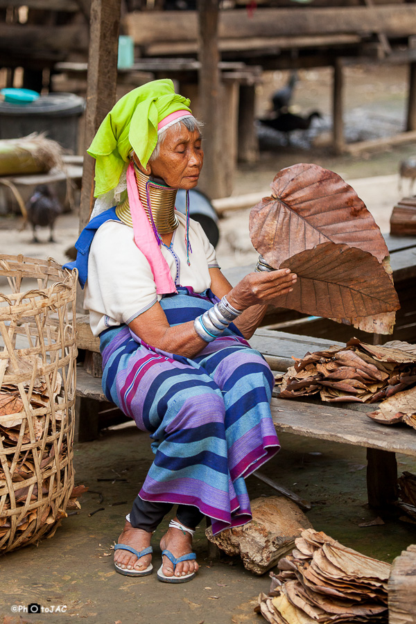 Campamento de refugiados Ban Mai Nai Soi.<br />Mujer de la etnia "Padaung" (o "Red Karen") preparando hojas secas para las paredes y los tejados de las casas de la aldea. Utiliza una pesada espiral de latón alrededor de su cuello con el fin de alargarlo. Aunque esto era simple tradición, actualmente muchas los portan para atraer turismo y conseguir ingresos, ya que son refugiados en Tailandia.